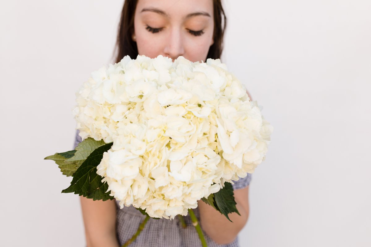 My_Little_Posy's tweet photo. There’s nothing better than the smell of fresh flowers! 💐💕💐 https://t.co/6oa99VVAsg