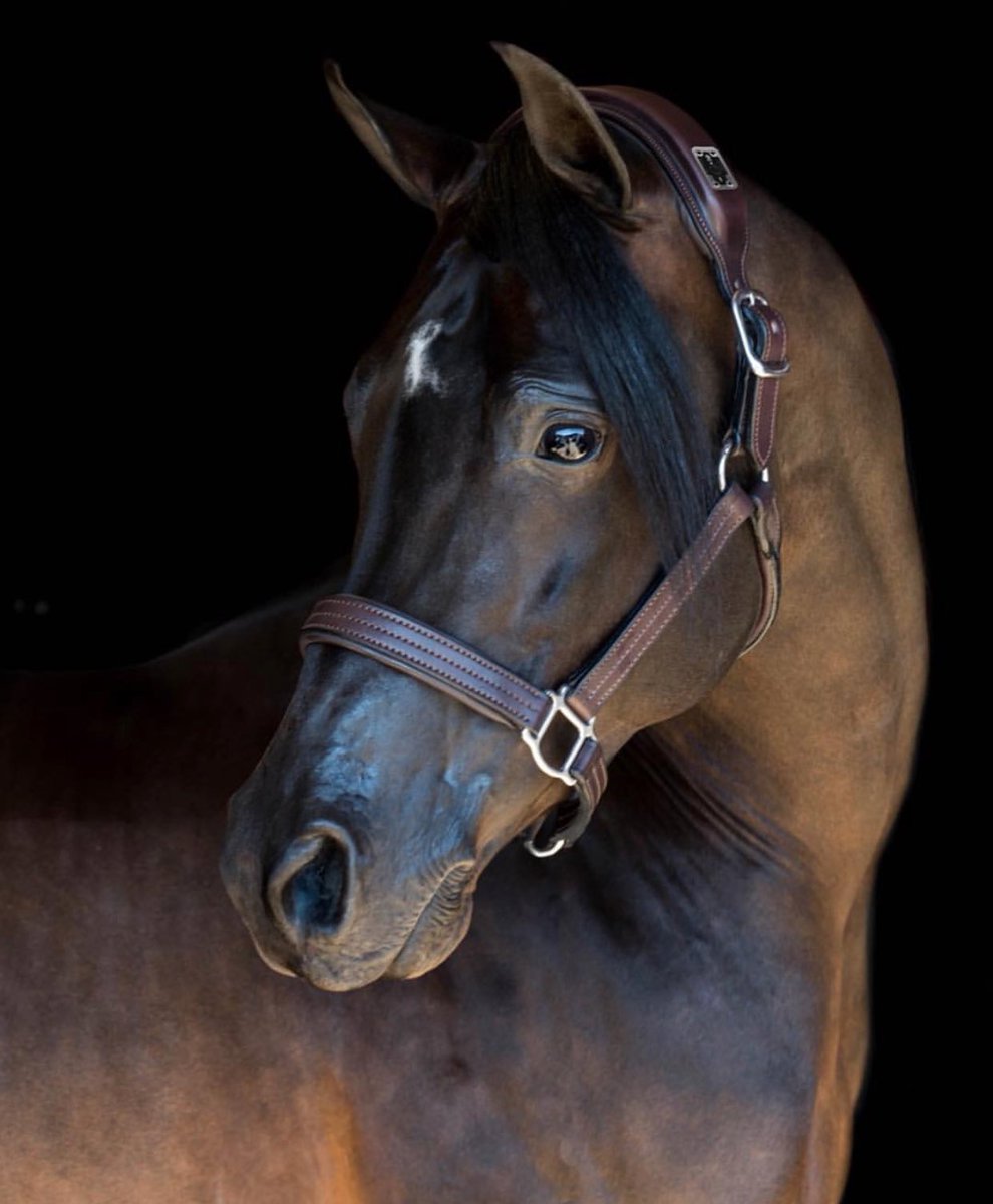 SplitRockJumpingTour tweet media