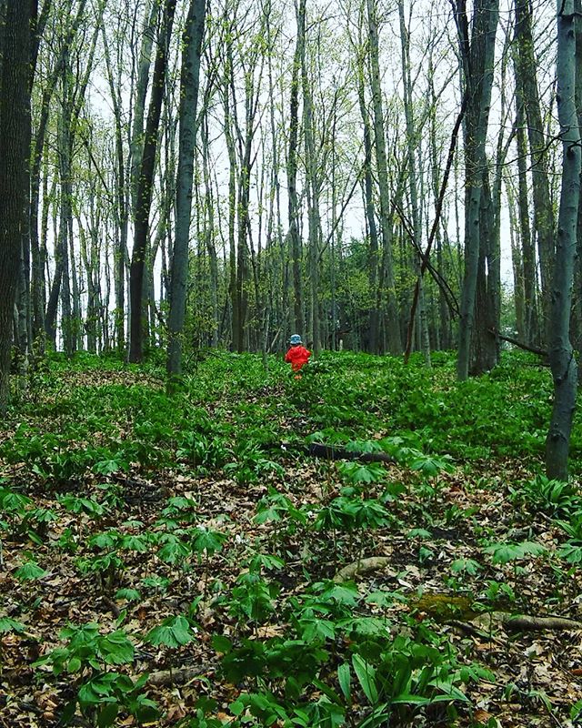 Lisa Murphy tweet media