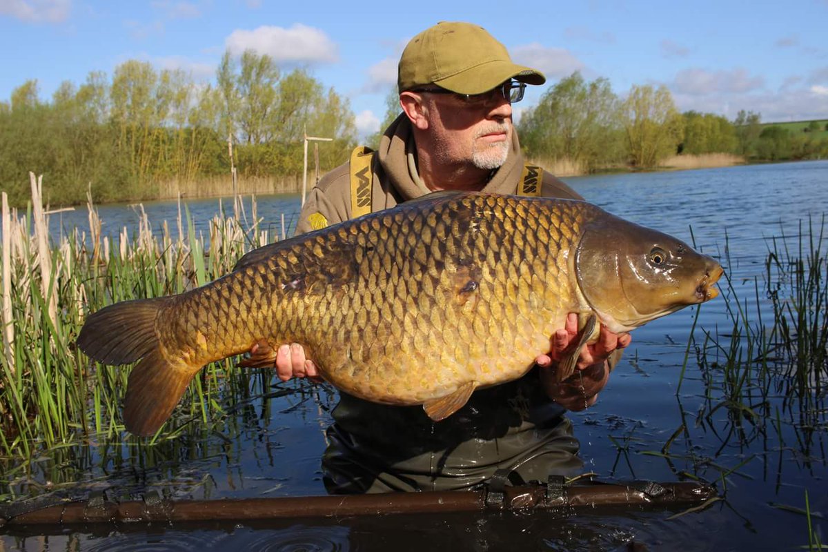 munkdrike's tweet image. 34lb 4oz of Nene Valley common. I'm happy about it, honestly.
#horizonfishfinders
#MADBaits
#atomictackle
#summittackle
#rhino