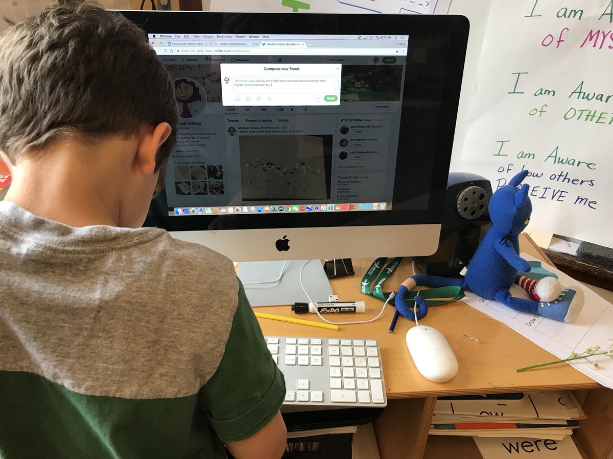 MollyMeck's tweet photo. Asher decides he has a question about sharp shinned hawks and he asks if he can tweet an expert. Thank you @CornellHawks for your help as we learn how to identify and help birds in our city. #BirdWork #PBL #SPSConnects #QAE https://t.co/p4CBnxvZQh