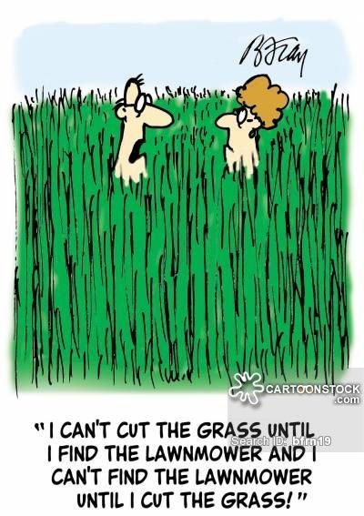 LawnOutlaw's tweet photo. "SMILE" 😀😀😀Have a awesome day!!!!!
https://t.co/zOnKd0oSjD https://t.co/K0l9o7sNcE