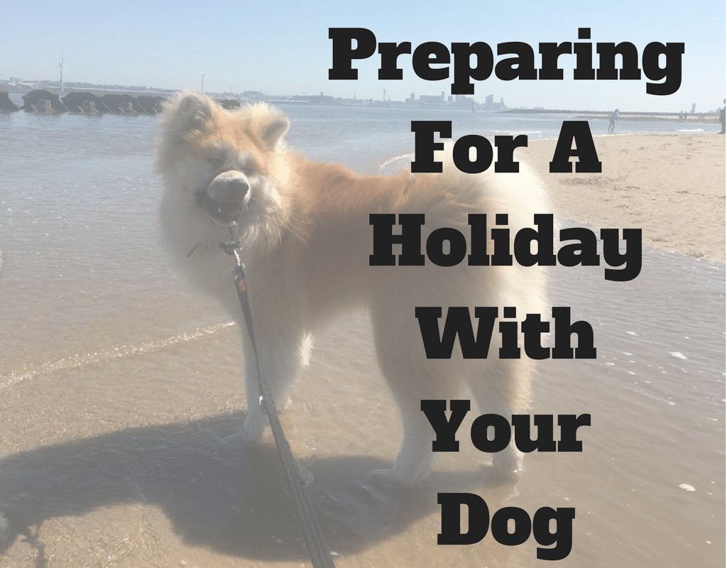 WalkWthThePack's tweet photo. So after a short break we are back with: Top Tips for preparing for a holiday with your dog https://t.co/hdN3FmXHRQ https://t.co/uJAQFicW47