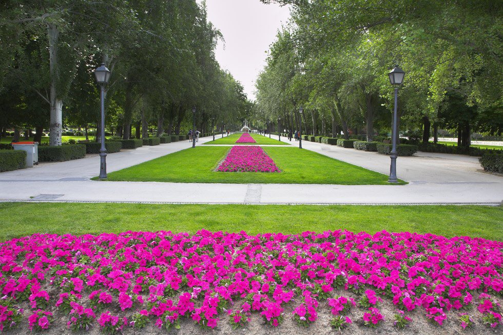Mañana Asamblea General de Primavera de Apune, University of San Diego, Madrid Center. Nos vemos alli :)