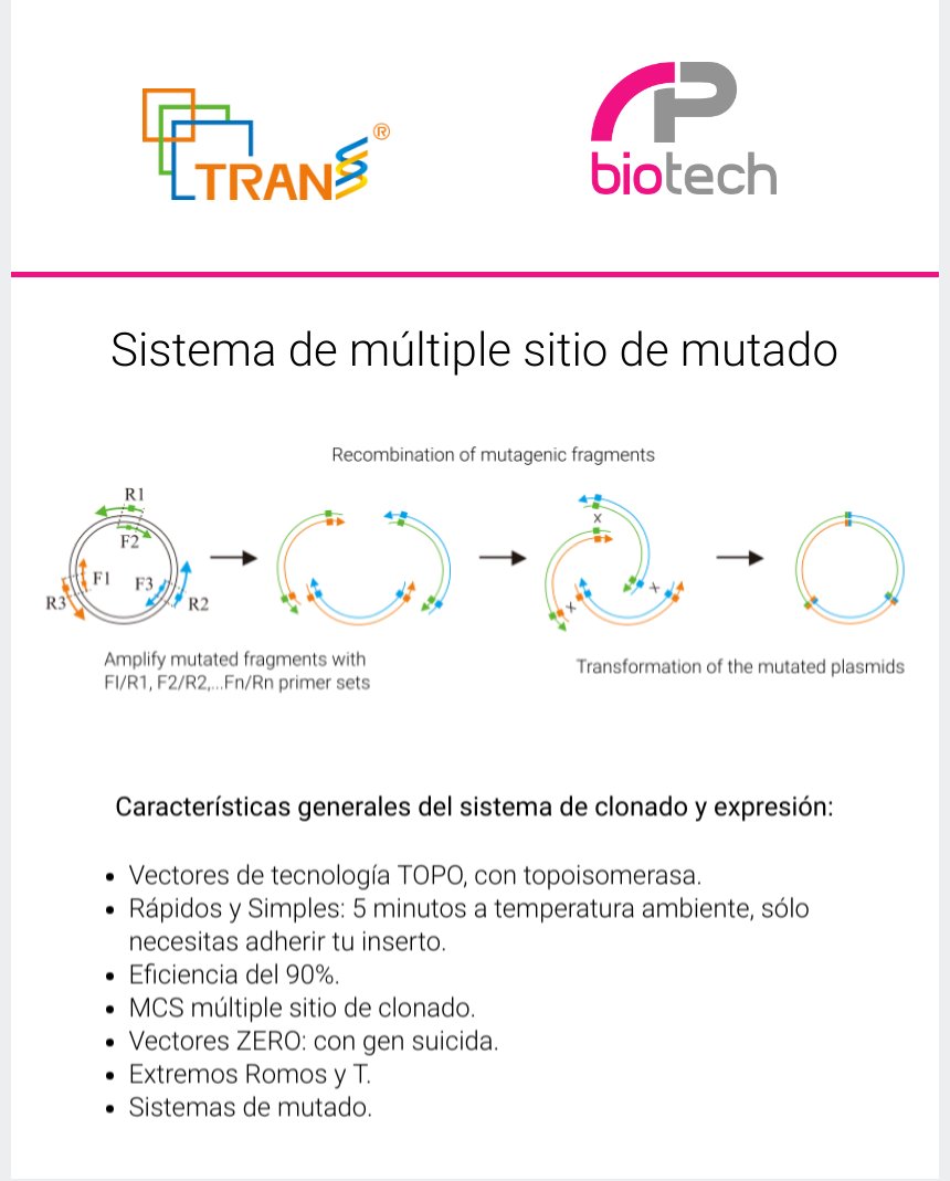 apbiotech's tweet photo. Generalidades de nuestros vectores
https://t.co/tMm3Vfgxh8 https://t.co/4QOK42MKSt