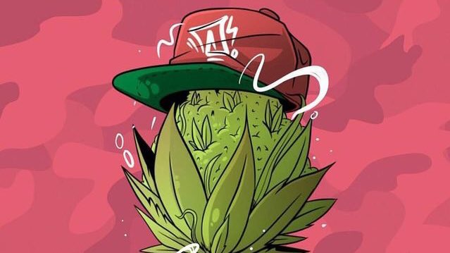 420_evaluations's tweet photo. Are you a #pothead ? https://t.co/JxCbCuoeuJ