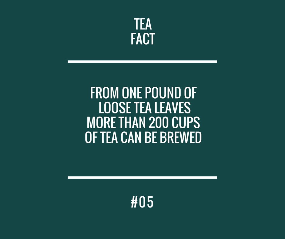 BrewletteCo's tweet photo. #tea #fact #fyi #teafact #tealover #teaknowsbest #brewing #brewingtea #brewinghappiness https://t.co/3EFxPFWfco