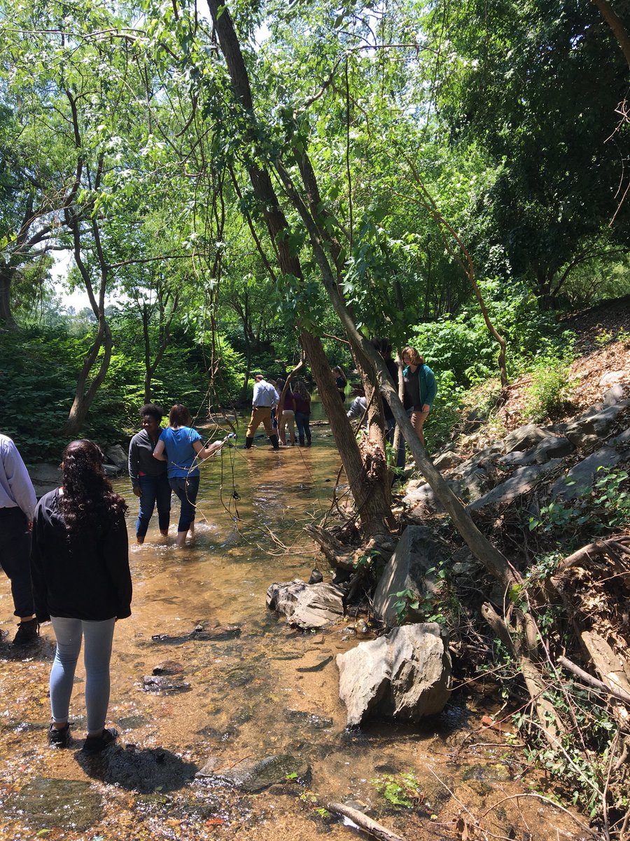 Henley4Science's tweet photo. @WileyMS @WSFCS_Science testing water quality at Peters Creek https://t.co/L8Yk2pLPBZ