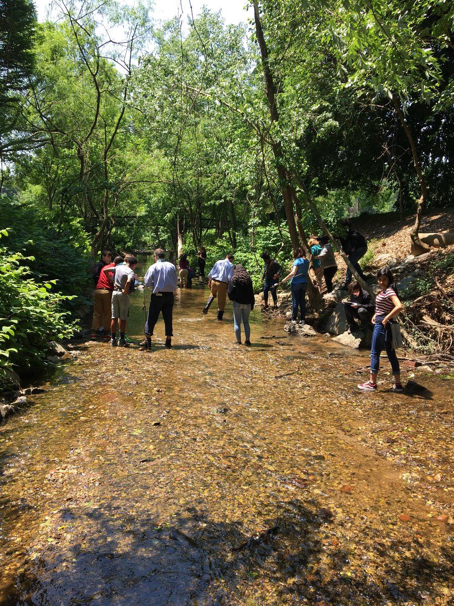 Henley4Science's tweet photo. @WileyMS @WSFCS_Science testing water quality at Peters Creek https://t.co/L8Yk2pLPBZ