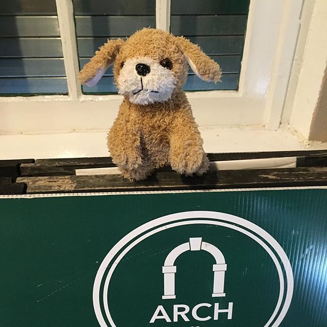 Arch_Coffee's tweet photo. This little chap dropped outside Peter Street today. Can you identify him. Somebody is really upset tonight 👶🏻 #missingteddy https://t.co/Fo6F2ePBR7 https://t.co/AOH50PYsuB