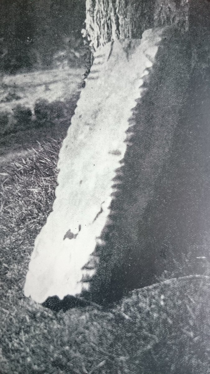 <a href="/DiscProg/">The Discovery Programme</a> <a href="/IAIarchaeology/">InstituteArchIreland</a> <a href="/ayiaorg/">AssocYoungIrishArch</a> <a href="/DungarvanLeader/">Dungarvan Leader</a> <a href="/DungarvanObserv/">Dungarvan Observer</a> @WLRFMnews <a href="/NationalMons/">National Monuments Service</a> <a href="/WaterfordNS/">Waterford News&Star</a> <a href="/WfdHistSty/">Waterfordhistory</a> <a href="/HeritageHubIRE/">The Heritage Council</a> <a href="/AbartaGuides/">Abarta Heritage</a> Looking forward to this conference, which I will also be speaking at about the ogham stones of West Waterford. This is an old photograph (c.1907) of a long lost ogham stone from Knockboy