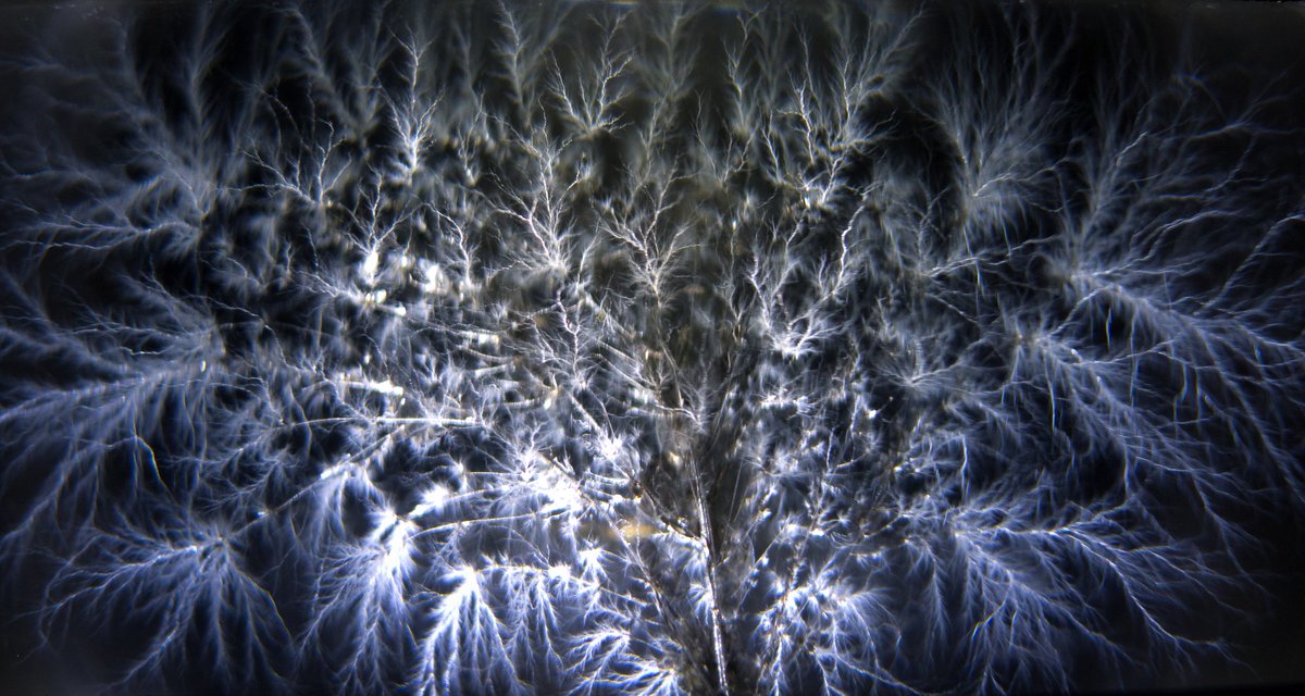cancerphysicist's tweet photo. I keep a couple of funny looking pieces of plexiglass on the shelf in my office. Today, somebody once again asked me about them. I generally tell people that this is what #medphys do with the linear accelerators when nobody is looking ... #electrontree #lichtenberg https://t.co/QZt0m7efny