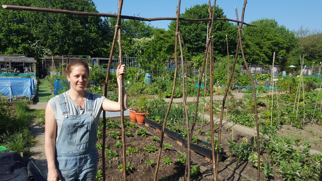 PaulaIOD's tweet photo. Gardening Goals – Hazel Poles https://t.co/o0UMV3hqZg https://t.co/4WcDJWxB3J