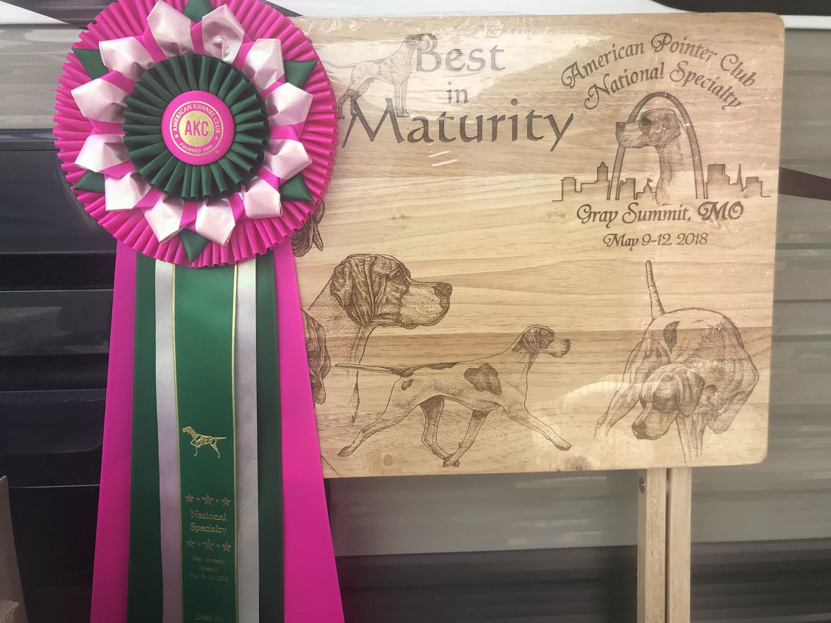 2018 American Pointer Club National
Peter &amp; I win Best of Maturity!!!!!