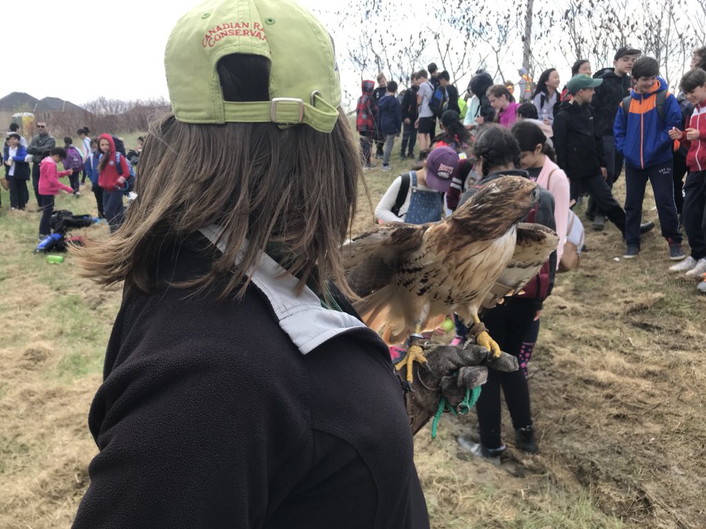 YRDSBEcoSchools's tweet photo. What is more heartwarming than students from different school boards coming together to plant trees ๐ฒ on the @ormoraine with @TRCA_Outreach @bondlakeps @oakridgesps #bayviewSS @YRDSB? #thankyouweather #10yearanniversary #raptorshow #secondaryplantingleaders https://t.co/KBQJ4yGyPg