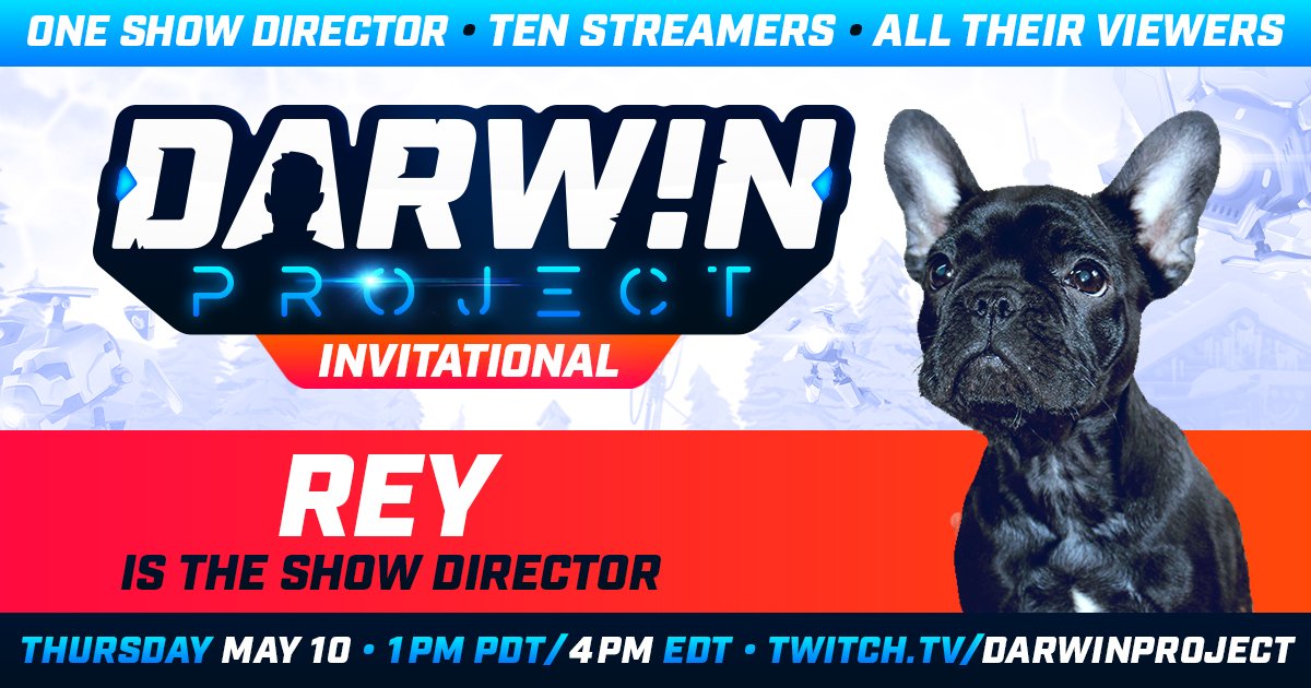 DarwinProject's tweet photo. The Show Director for today's #DarwinInvitational is... Rey! Wait, what? Tune in to https://t.co/ny0Oz74vyR today at 4 PM EDT to see how this is going to play out! #DarwinProject #BattleRoyale https://t.co/EVV48vlP7y