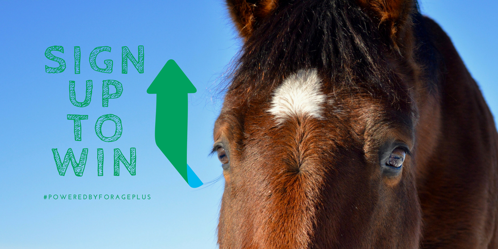 forageplus's tweet photo. 🥇SIGN UP to WIN fabulous prizes from Forageplus throughout 2018 🥇
Monthly winners for fantastic #horse prizes from Forageplus. ENTER at https://t.co/WfNxEx0t4g #loveforageplus #poweredbyforageplus https://t.co/0Rw9Pv4hHD
