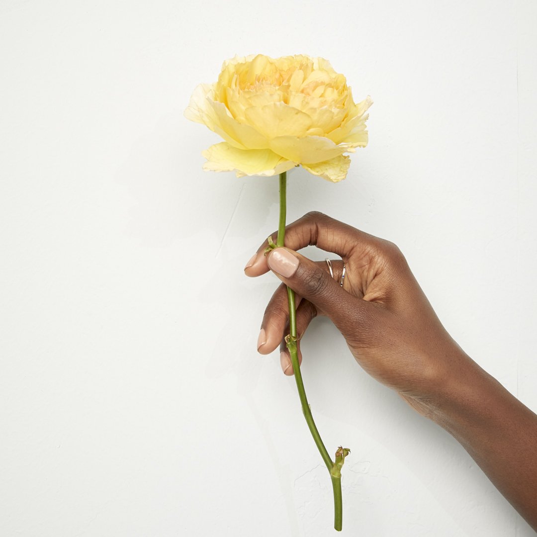 GraphicsThumbs's tweet photo. OnLy FoR yOu. #Ian_Holloway ##BackToYou #WayneRooney #sangdownthepub #instagramdown #RenewB99 #Sprint18 #ItStillAmazesMe #CelebrateWomen #FelizDiaDeLasMadres #Matt_Patricia #BackToYou #The_Predator #Melvin #flower #flowerpot #flowering #flowery #flower_igers #flowers https://t.co/0yBpDML8Va