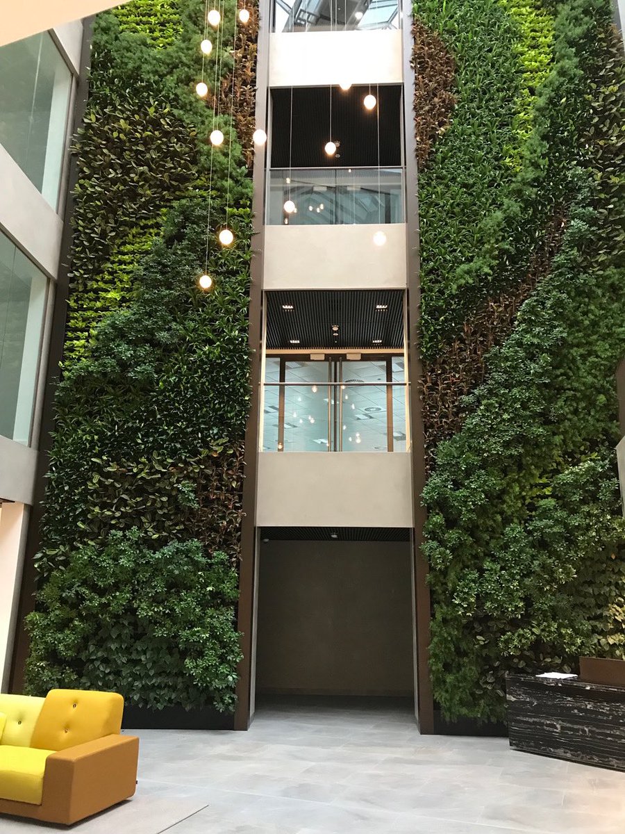 Moving the outdoors in - #livingwalls purify air, reduce noise, control humidity and create happy work environments
