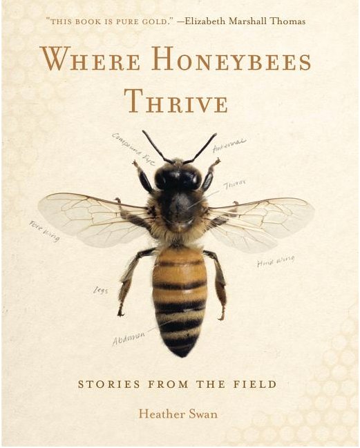 JaxDogBooks's tweet photo. "Where Honeybees Thrive" author Heather Swan is reading at Eastern Oregon University @eoumountaineers tonight before heading to Fishtrap @FishtrapWrites tomorrow. Details at https://t.co/i3z5ZMxqfi and https://t.co/MfGfkP8C71 https://t.co/L8coGeUfJx