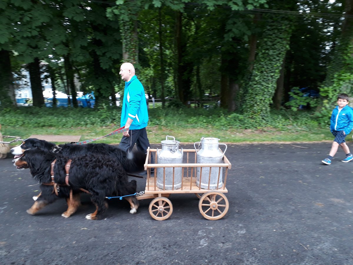 BazinMimi's tweet photo. Au centenaire du #lyceecibeins tournée de lait originale et toujours la maquette #biomethane de #grdf qui attire le public ! https://t.co/IBNzUiluuC