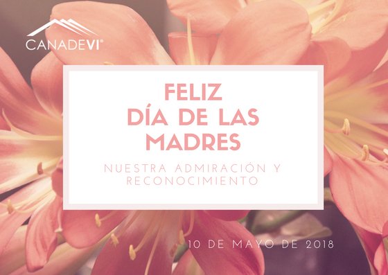 Por su tenacidad, compromiso, esfuerzo y dedicación diaria @CANADEVINAC felicita a todas las mamás. #FelizDiaDeLasMadres #SoyCanadevi @KrlosMed @CANADEVIAgs @CANADEVIBCS @canadevibc @canadevicoah @CanadeviDurango @CANADEVIGto @canadevi_puebla @CanadeviJalisco @CanadeviVer https://t.co/gdjWlG0rBe