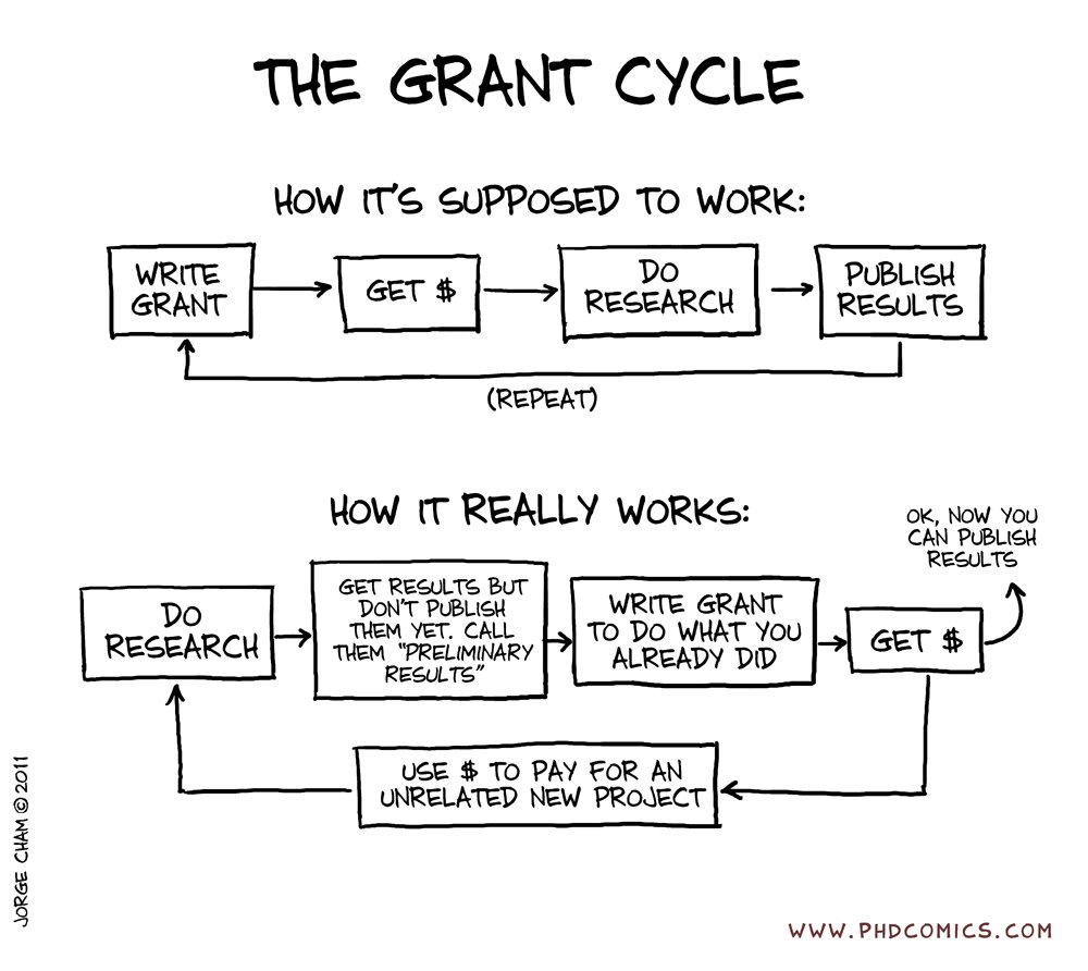 Get grant. Грант на исследование. Research Grant. PHD Pedagogy.
