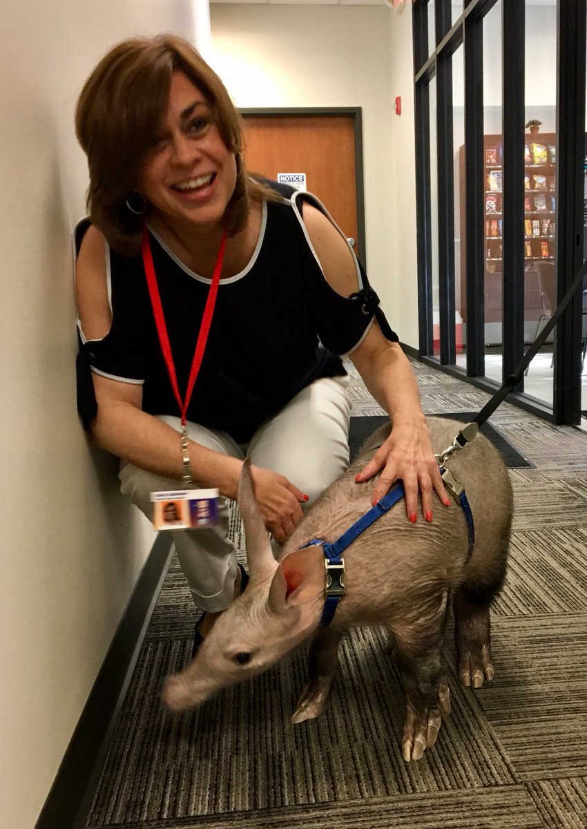 Winsol came to @ABC22FOX45 today!