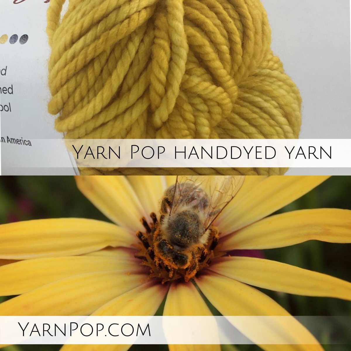 YarnPop's tweet photo. What does this color inspire you to create?

#yarnstash #knit #crochet #yarnpop #colorful #crafty #knitting https://t.co/NXxoekgNZT