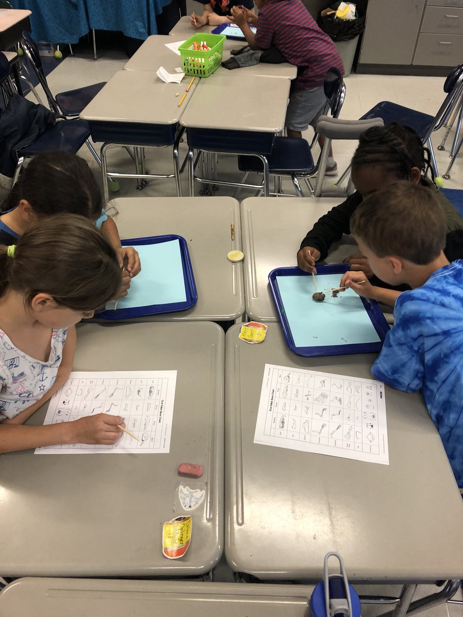 TeamMedeFede's tweet photo. Dissecting owl pellets! Identifying what type of animal our barn owl has eaten! https://t.co/2xa2flHmAE