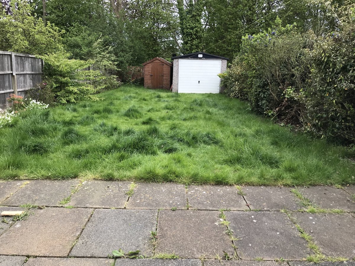 MGGardens's tweet photo. From wilderness to an actual garden! What a transformation! https://t.co/nfeUsdq7Bh
