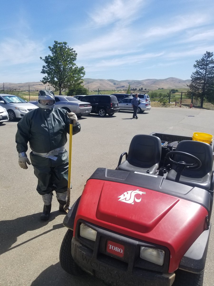 Yellow jacket nest removal attire @TurfCoug #gotyellowjackets