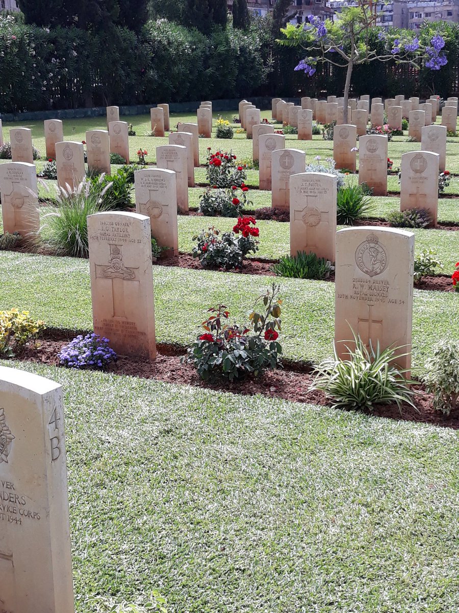 Tom_CWGC's tweet photo. Beirut War Cemetery today. Living proof that herbicides and pesticides aren't needed for horticulture to flourish, just good practice and management. Well done Yahia and team. @Bennett22David  @CWGC https://t.co/TGLQ7rFZ9o