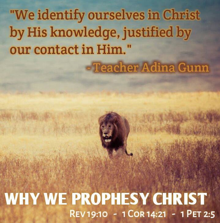 DianeSwarthout's tweet photo. "Truth is manifested in the activity of faith, in word and in deed" (Apostle Eric vonAnderseck)

 https://t.co/NrGI5nD5iJ

#apostles #spiritual #prophesy #propheticworship #heaven #inspire #past #prophetic #keepthecommandment #lightoftheworld #magnify #praise https://t.co/Ok24OYGtqw