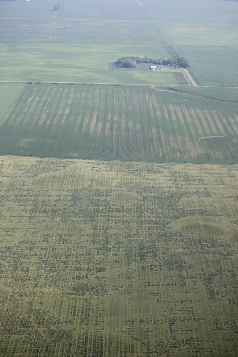 SoilLorax's tweet photo. If you can't wait for the field to be perfectly fit for planting, watch your tire pressure and axle loads. Compaction can last all season and for many years to come. More info at: https://t.co/uanxhN5Xxc #soilcompaction #wheeltraffic #reducedyields https://t.co/SrVeCndH2r