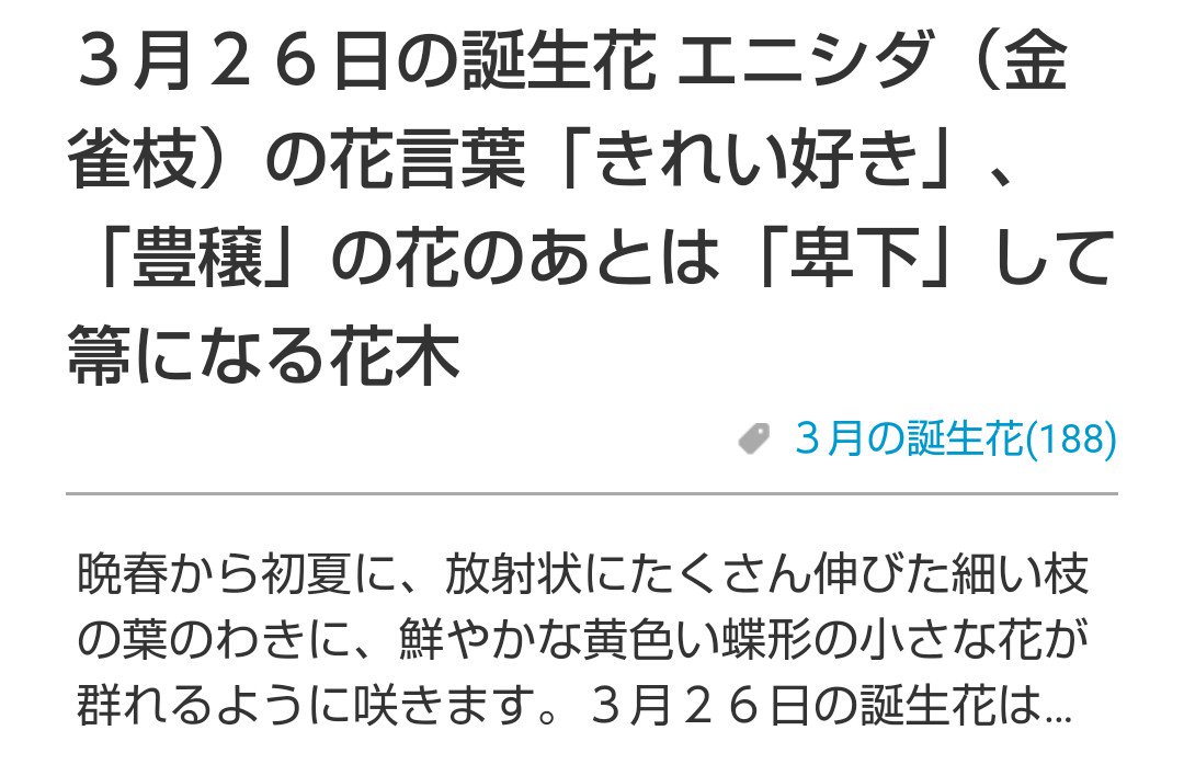 よるさん考察ミツココの話 Twitter