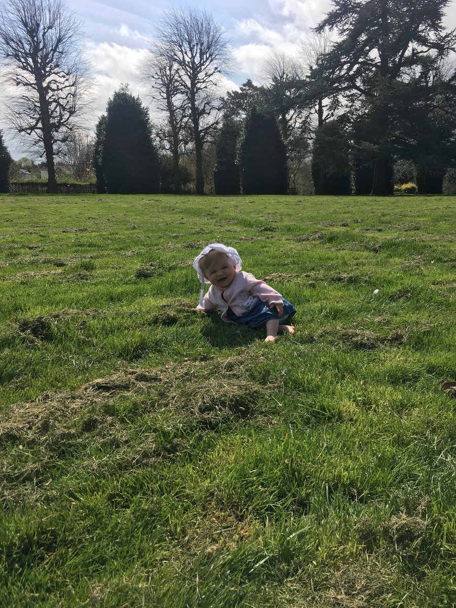 rosewilkOT's tweet image. Exploring the local park in Chester, a beautiful #greenspace, for Uni with my little niece Flo... she crawled &amp;amp; explored too and tried to eat a lot of grass 😂❤️ #otstudent #OTComm