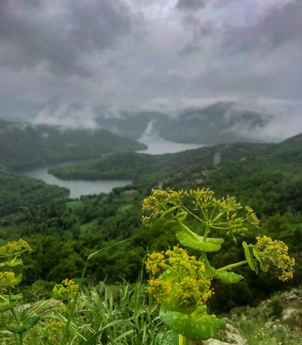 KeepSardinia's tweet photo. Lake Gusana during the spring rainfalls - 📷 by Laura Mele https://t.co/NEoxVNgqQa