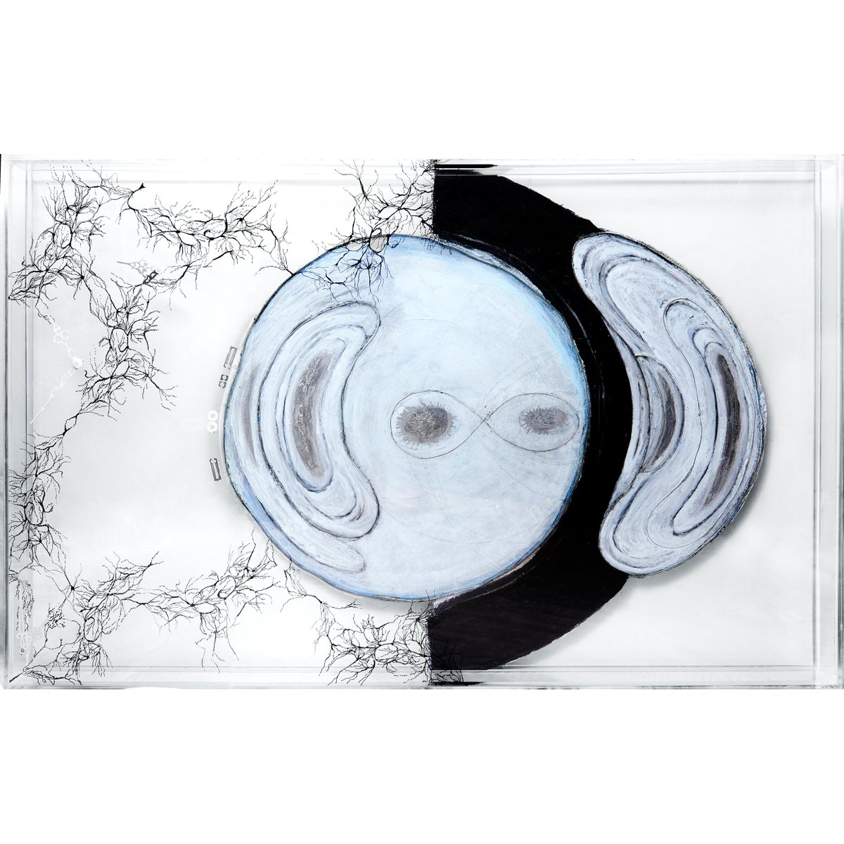 Instrument of Alternate Dimensions
pamdouglasart.com
#artisticshare #losangeles #losangelesart #femaleartist #laart #painting #painter #paint #artsed #artforsale #artsed #artmatters #abstract #visualart #visualartist #artofvisuals #artist #sight #mixedmedia