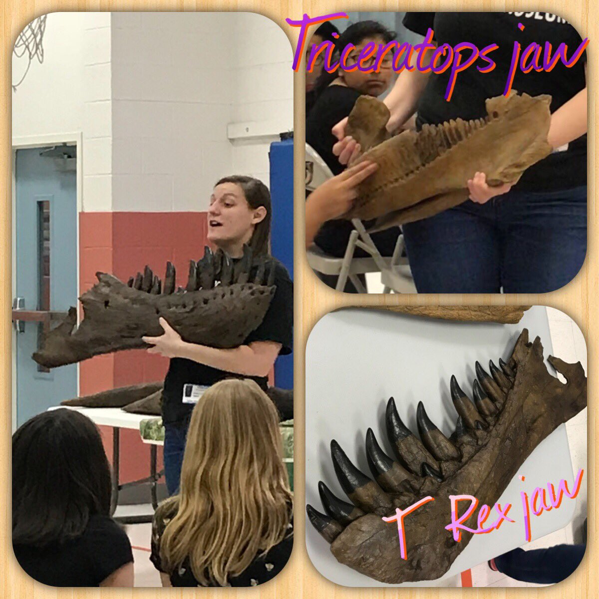 sstclair101's tweet photo. #HMNS @CarrilloES_HISD #SCIENCESTAAR review #EarthScience #KnowledgeIsPower @bpawelka @jortiz2702 https://t.co/vbQdqQTDMH