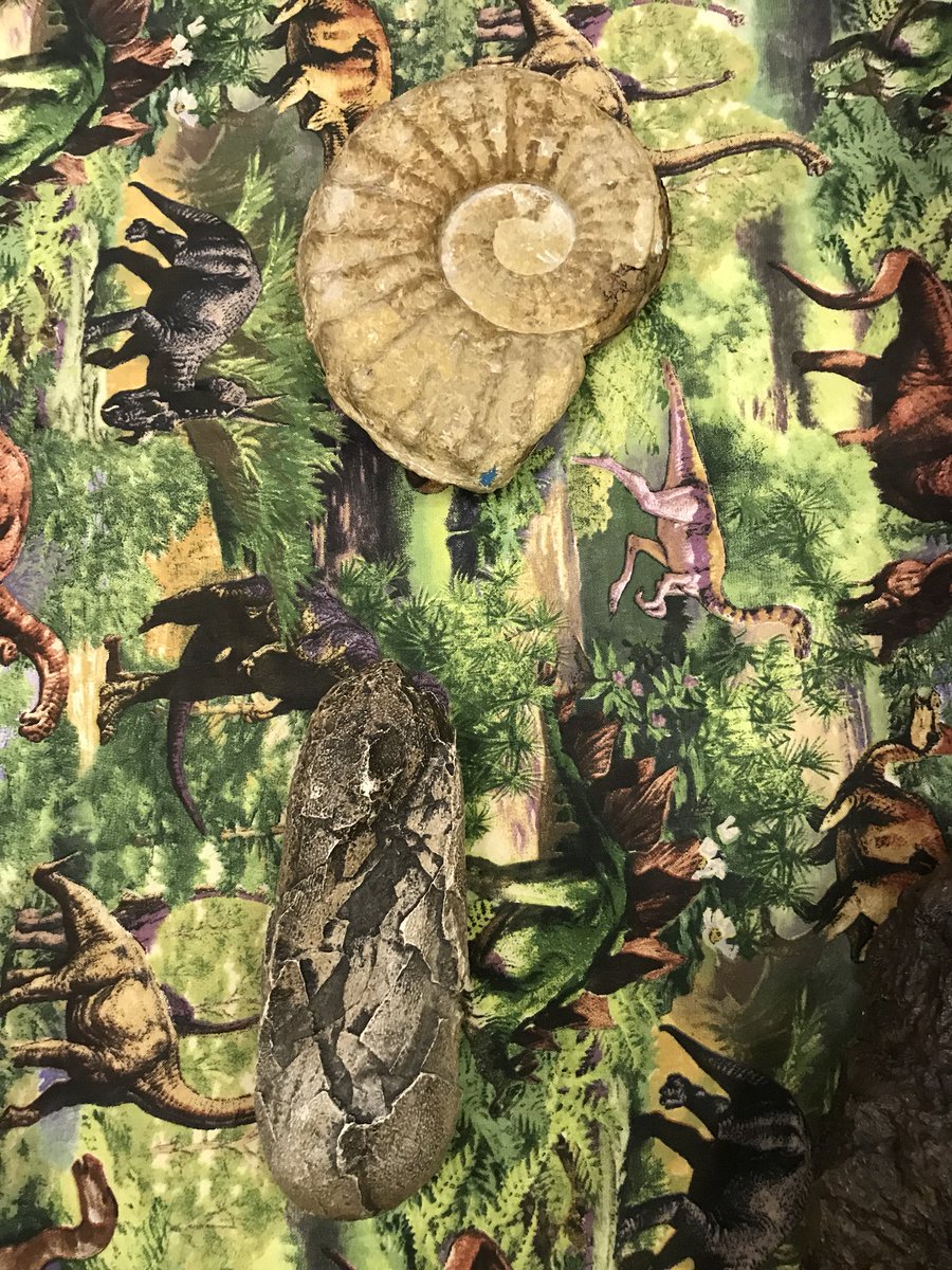 sstclair101's tweet photo. #HMNS @CarrilloES_HISD #SCIENCESTAAR review #EarthScience #KnowledgeIsPower @bpawelka @jortiz2702 https://t.co/vbQdqQTDMH