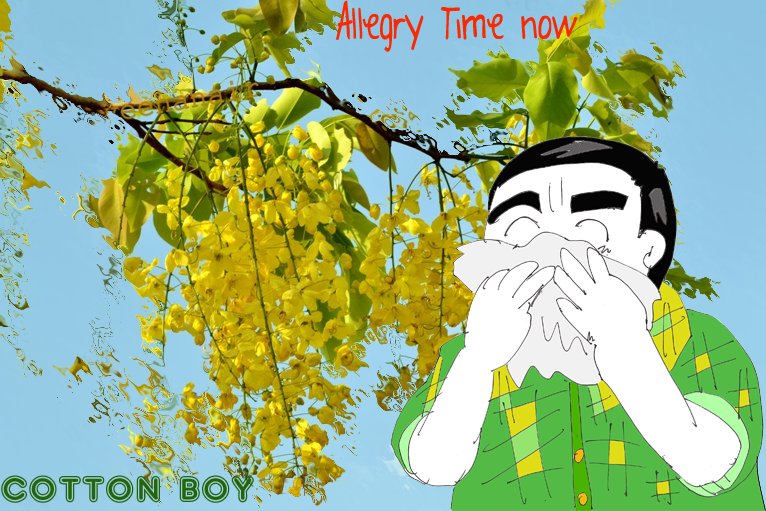 CottonBoyInUSA's tweet photo. ‘Allergy Explosion’ Caused By Record-Levels of Pollen #allergy #pollen #health #season #medical #cottonboy #blogger #cartoon

https://t.co/0iHI0zULQQ https://t.co/t94GVNmjx4