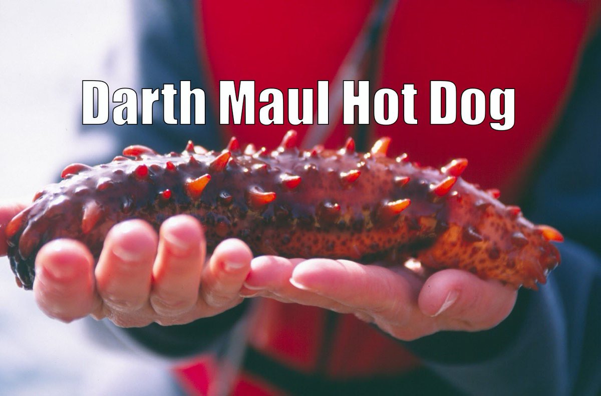 vanaqua's tweet image. Sith sausage #rebrandaspecies
