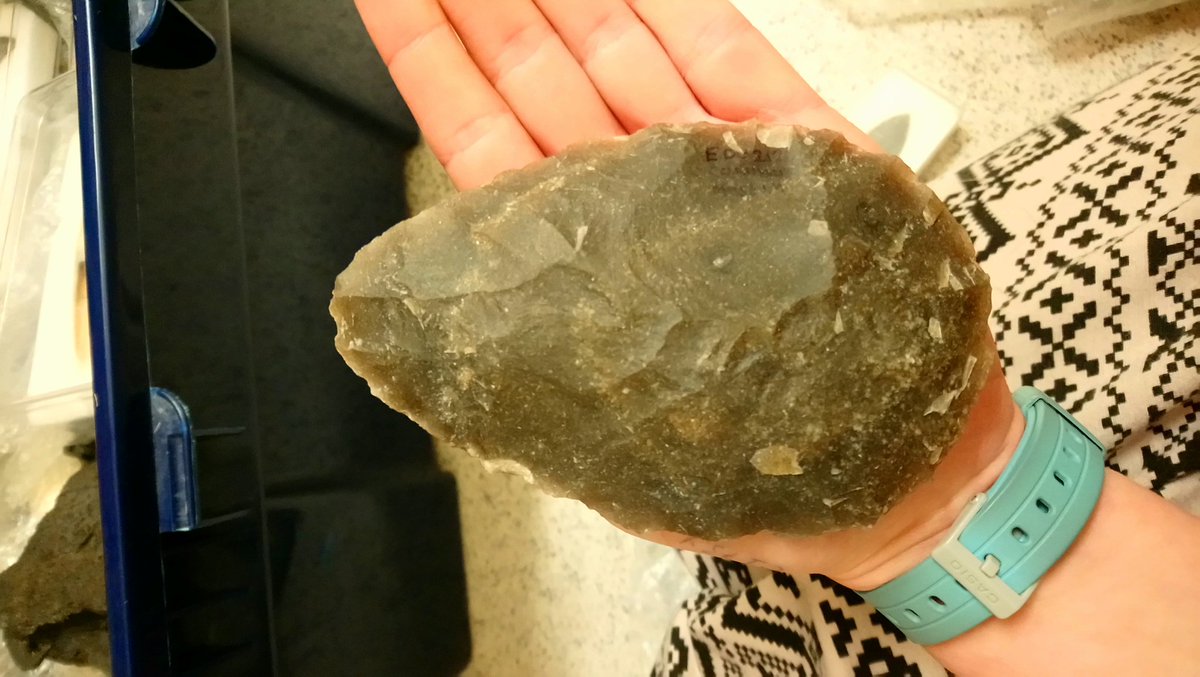 chazamuffin's tweet image. Geeking out on my museums placement 💙💚💛 #geektastic #loansboxes @CoriniumMuseum @Museumsed_IOE