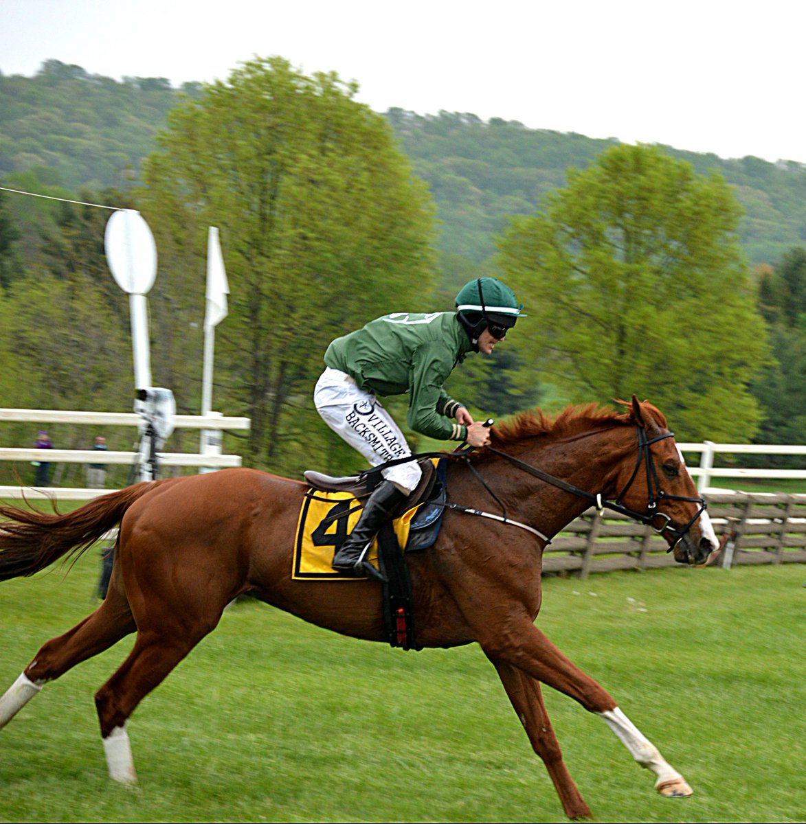 Sharonnnn4's tweet photo. Check out my latest article/photos about @VAGoldCup '18 in the @LoudounTribune https://t.co/hwSOV7YwjK #VirginiaGoldCup #equestrian #steeplechasing https://t.co/5rNrDHGlYA