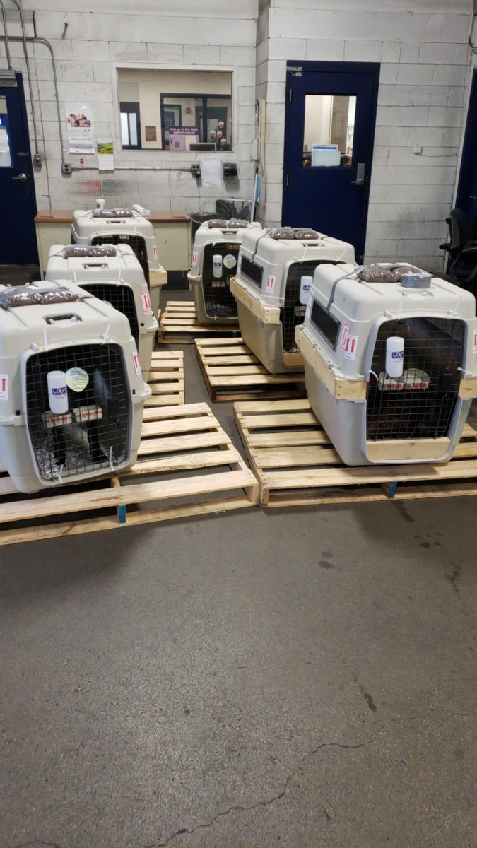 VLKInc's tweet image. Vohne Liche Kennels is sending them south of the boarder.  In conjunction with the Salvadoran and U. S. Government, our first shipment of dogs have arrived in El Salvador.