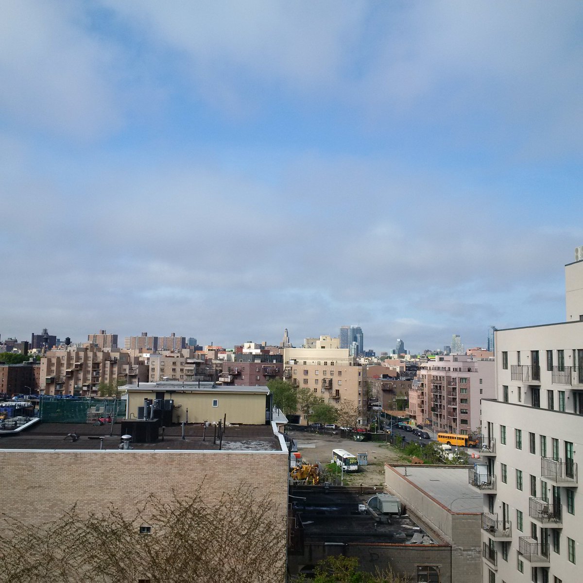 BBsimcha's tweet image. 