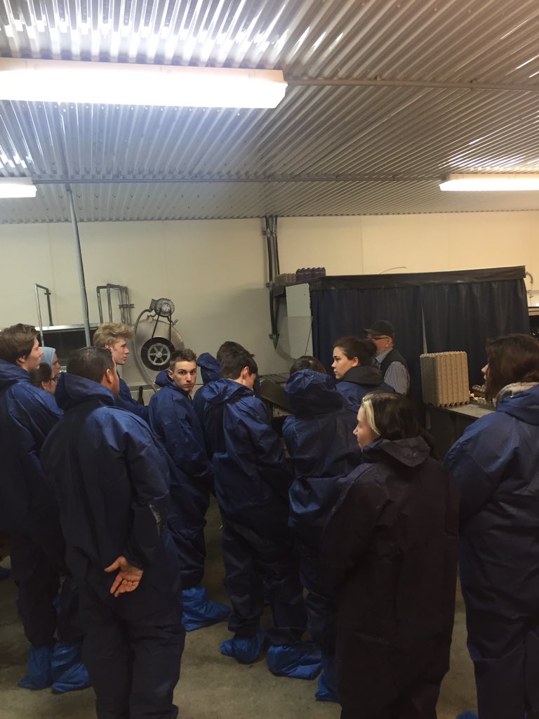 EFA_AB_eggs's tweet photo. Students from Morinville came out to Paul's barn to learn more about egg production today. #efa50 #localeggs https://t.co/DuThmnfjun