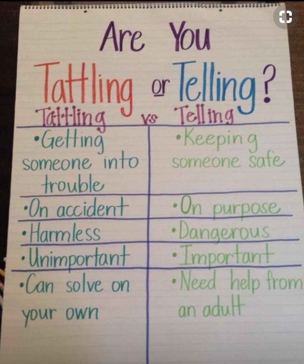 Stephanie Scott tweet media