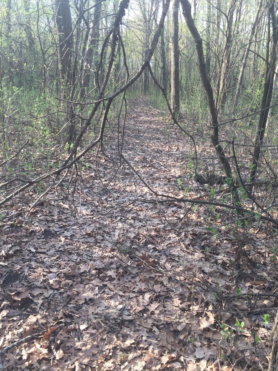 Mother Nature has given me a nice obstacle course for my run tonight! 😂 #cantstopwontstop